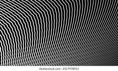 Black and white stripes wave pattern abstract background for backdrop or fabric style