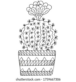 Black and white stylized flowering Parodia cactus with thorns and flower in a patterned pot. Vector.