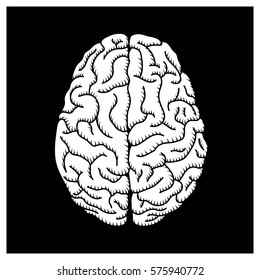 Black & white stylized human brain illustration