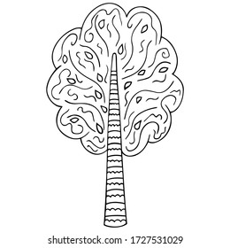 Black and white stylized lush tree with zentangle ornament. Hand-drawn birch, oak or alder. Isolated floral design element, coloring book, print, tattoo, decoration, eco packaging, logo. Vector.