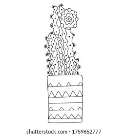 Black and white stylized Pilosocereus with a flower in a rectangular pot. Three cacti in scandinavian style. Isolated tropical houseplant for coloring page. Vector.