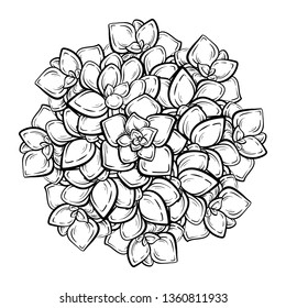 Black and white succulents round coloring page