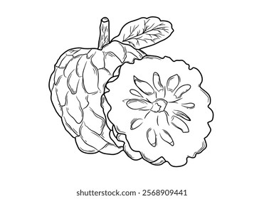 Black and white sugar apple line art illustration with detailed lines, showing the distinctive texture of the segmented skin and simple leaves that complement the shape.