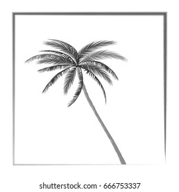 black white summer