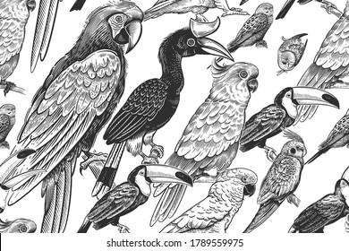 Black and white summer tropical pattern. Exotic birds parrots and toucans. Animal background. Wildlife. Vintage design for Hawaiian shirts, paper, wallpaper, textiles, interior. Vector illustration