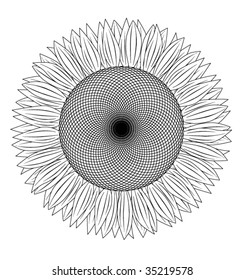 black and white sunflower
