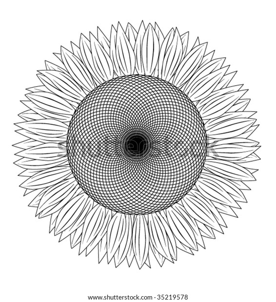 Black White Sunflower Stock Vector (Royalty Free) 35219578