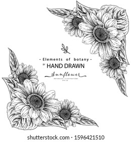 Black and white sunflower botanical illustration. Vintage floral clip art hand drawn group. Flowers drawing and sketch with line-art Isolated on white background.
