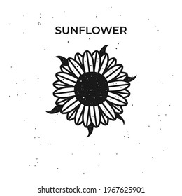 Ilustración vectorial de girasol blanco y negro. Ilustración floral botánica. Icono de cosecha de girasol.