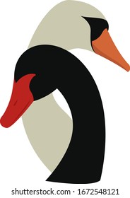 Black and white swan, illustration, vector on white background.