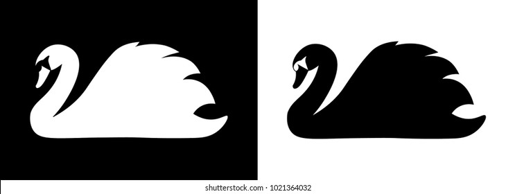Black and White Swans