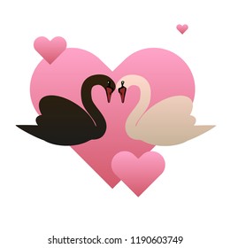 Black and white swans and hearts vector illustration