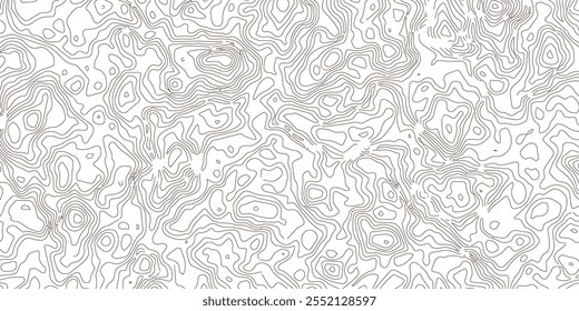 Black and white swirl curve pattern. Grunge abstract Abstract Maps fantasy island map contour drawing sea compass terrain map
seamless zebra print.