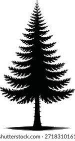 Árbol de pino alto blanco y negro con ramas detalladas