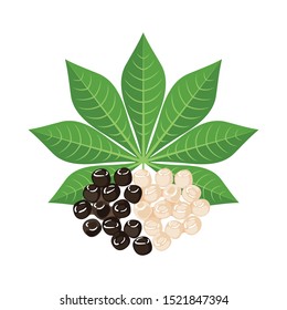 Black and white Tapioca with cassava leaf in flat style isolated on white background. Vector illustration.