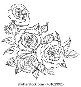 Download Rose Coloring Page Images Stock Photos Vectors Shutterstock