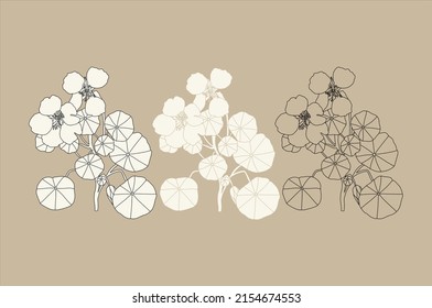 Plantilla en blanco y negro para colorear. Ilustración de flores de nasturcio en el jardín de verano. Dibuja una hermosa postal. Libro de Colores para niños y adultos. vector plano