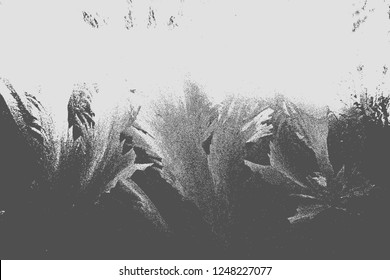 Black And White Texture