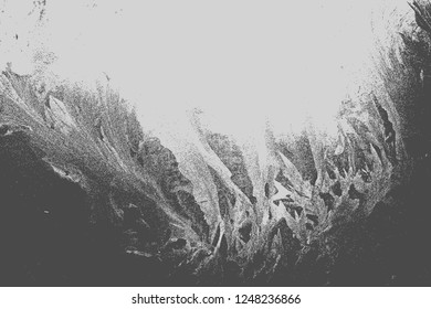 Textura En Blanco Y Negro