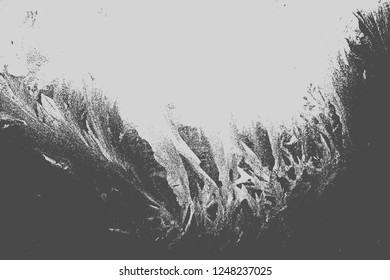Textura En Blanco Y Negro