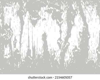 Black And White Texture Of Birch Trunks. Vector Illustration Of A Birch Tree