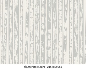 Black and white texture of birch trunks. Vector illustration of a birch tree
