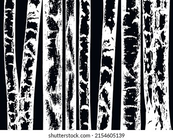 Black and white texture of birch trunks. Vector illustration of a birch tree