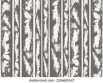 Black and white texture of birch trunks. Vector illustration of a birch tree