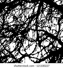 black and white texture branch tree vector