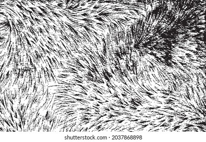 black and white texture. Distressed overlay texture. Grunge urban background