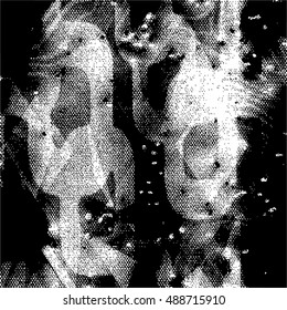 Black and white texture . Grunge background.