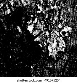 Black and white texture . Grunge background. 