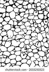 Textura en blanco y negro - albañilería. Ilustración de fondo transparente en blanco y negro 