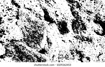Black and white texture of old grunge wall background vector