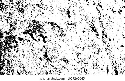 Black and white texture of old grunge wall background vector