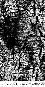 Black white texture of rugged relief fractured bark wood of aged cork oak. Old rough grunge of uneven ridged hard dry crust surface. Deep cut grooved coated layer, convex ornate textured rustic design