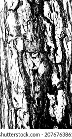 Black white texture of rugged relief fractured bark wood of aged cork oak. Old rough grunge of uneven ridged hard dry crust surface. Deep cut grooved coated layer, convex ornate textured rustic design