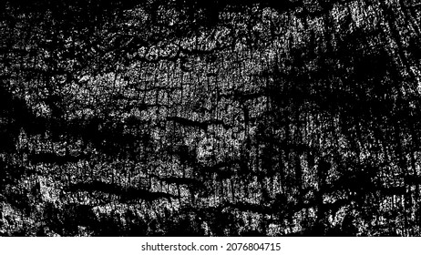 Black white texture of rugged relief fractured bark wood of aged cork oak. Old rough grunge of uneven ridged hard dry crust surface. Deep cut grooved coated layer, convex ornate textured rustic design