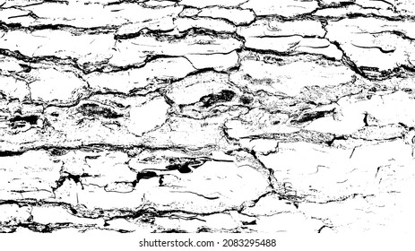 Black white texture of rugged relief fractured bark wood of aged cork oak. Old rough grunge of uneven ridged hard dry crust surface. Deep cut grooved coated layer, convex ornate textured rustic design