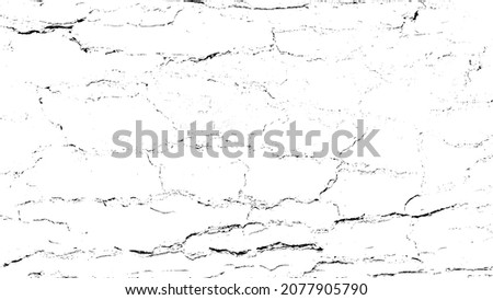 Black white texture of rugged relief fractured bark wood of aged cork oak. Old rough grunge of uneven ridged hard dry crust surface. Deep cut grooved coated layer, convex ornate textured rustic design