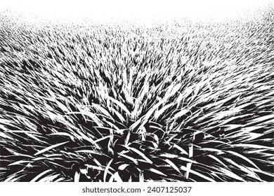 black and white texture vector illustration image overlay monochrome grunge background texture