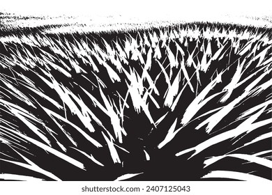 black and white texture vector illustration image overlay monochrome grunge background texture