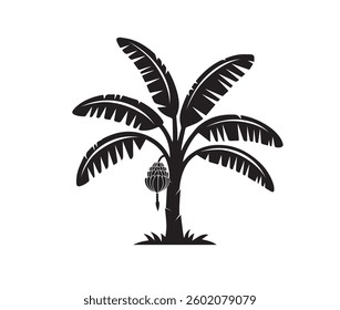 black and white is this banana tree in illustrator NOT IA