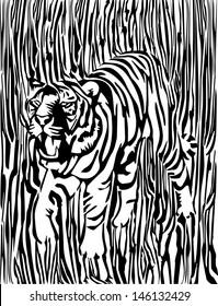 black and white tiger