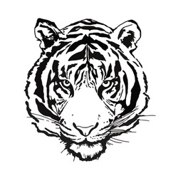 Black And White Tiger Face 