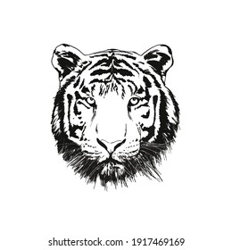black and white tiger face