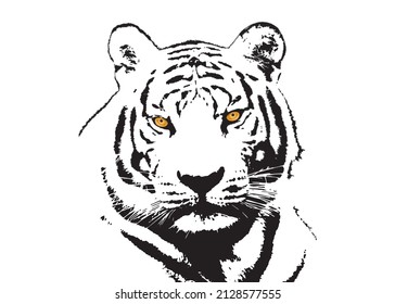 Black and white tiger face with animal concept.