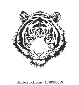 Black and white tiger head vector illustration.