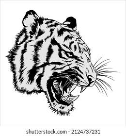 Black And White Tiger Head Vector Illustration