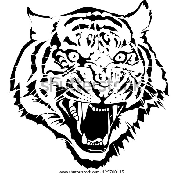 イラストレーターによる白黒の虎の頭のベクター画像 私はスケッチ画像から描きます のベクター画像素材 ロイヤリティフリー